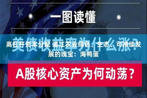 高杠杆资本分配 湛江农业绿色、生态、可持续发展的瑰宝：海鸭蛋