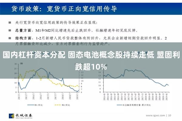 国内杠杆资本分配 固态电池概念股持续走低 盟固利跌超10%