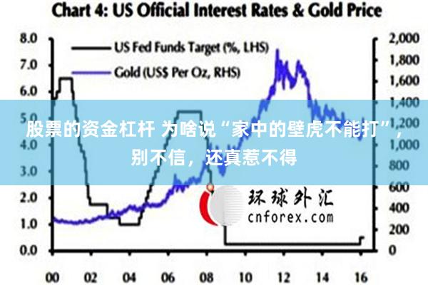 股票的资金杠杆 为啥说“家中的壁虎不能打”，别不信，还真惹不得