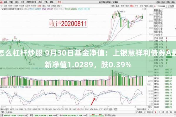 怎么杠杆炒股 9月30日基金净值：上银慧祥利债券A最新净值1.0289，跌0.39%