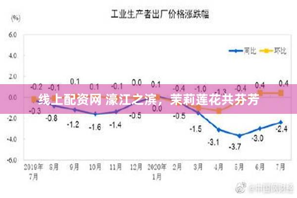 线上配资网 濠江之滨，茉莉莲花共芬芳