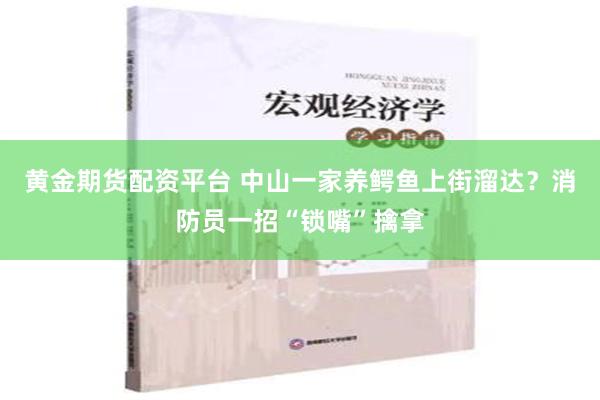 黄金期货配资平台 中山一家养鳄鱼上街溜达？消防员一招“锁嘴”擒拿