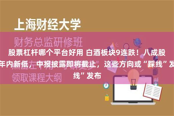 股票杠杆哪个平台好用 白酒板块9连跌！八成股创年内新低，中报披露即将截止，这些方向或“踩线”发布