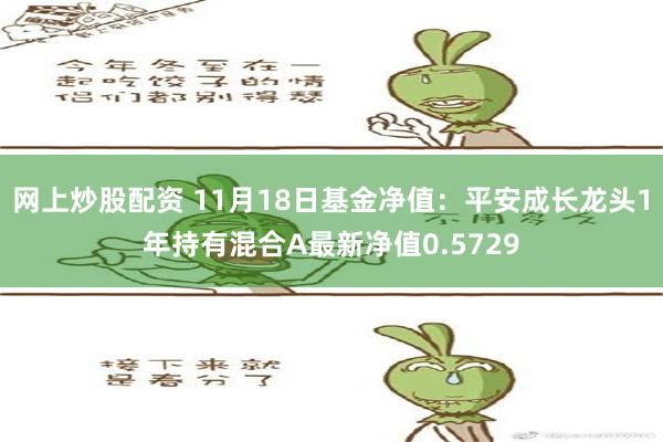 网上炒股配资 11月18日基金净值：平安成长龙头1年持有混合A最新净值0.5729